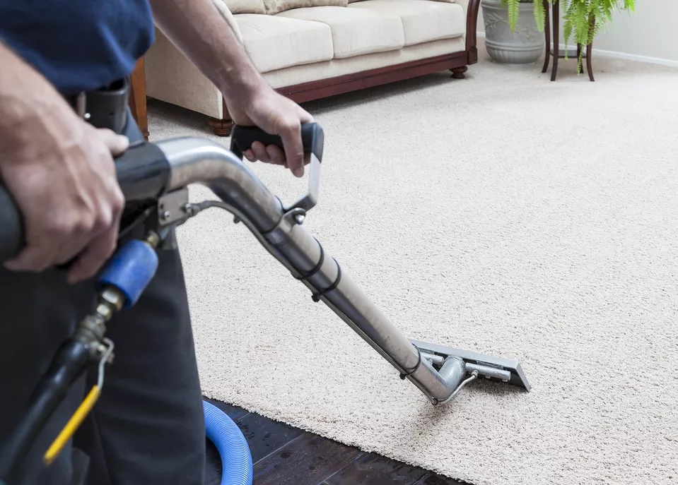 Professional Carpet Cleaning Services In Toronto